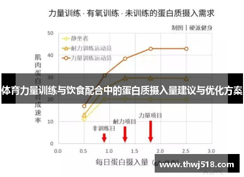 体育力量训练与饮食配合中的蛋白质摄入量建议与优化方案